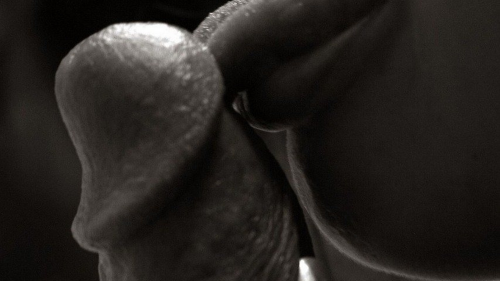 Blowjob LIcking Dick, Porn Wallpaper